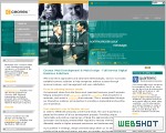 Ceonex Web Development & Web Design - Full Service Digital Business Solutions