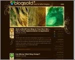 Blogsolid