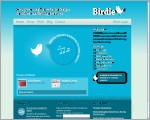 Birdie - Creative, useable website design & online marketing services | The portfolio of Cormac Kelly, Digital Media